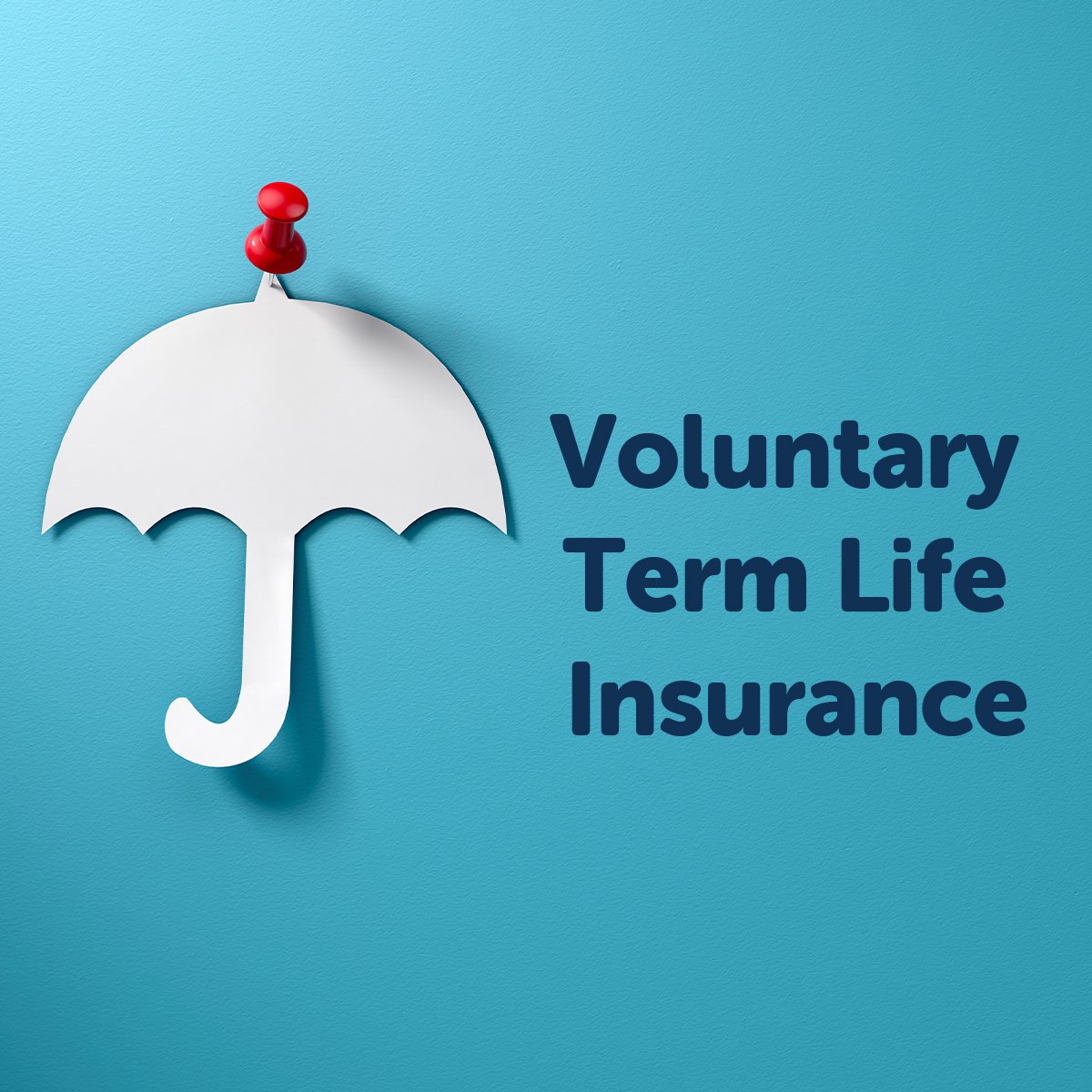 Voluntary life insurance