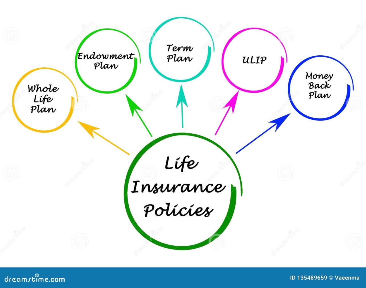 Insurance infographic life types common slideshare upcoming