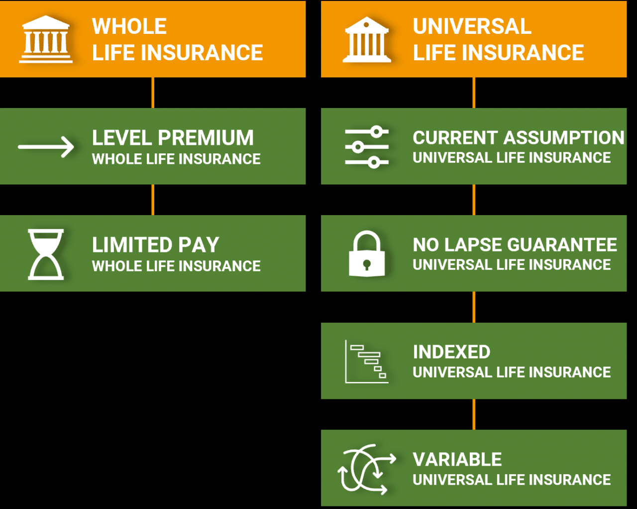 Which type of life insurance is the better option