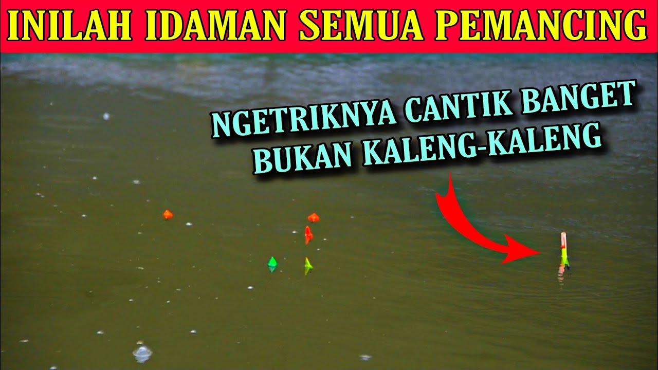 Tip dan trik mancing ikan mas